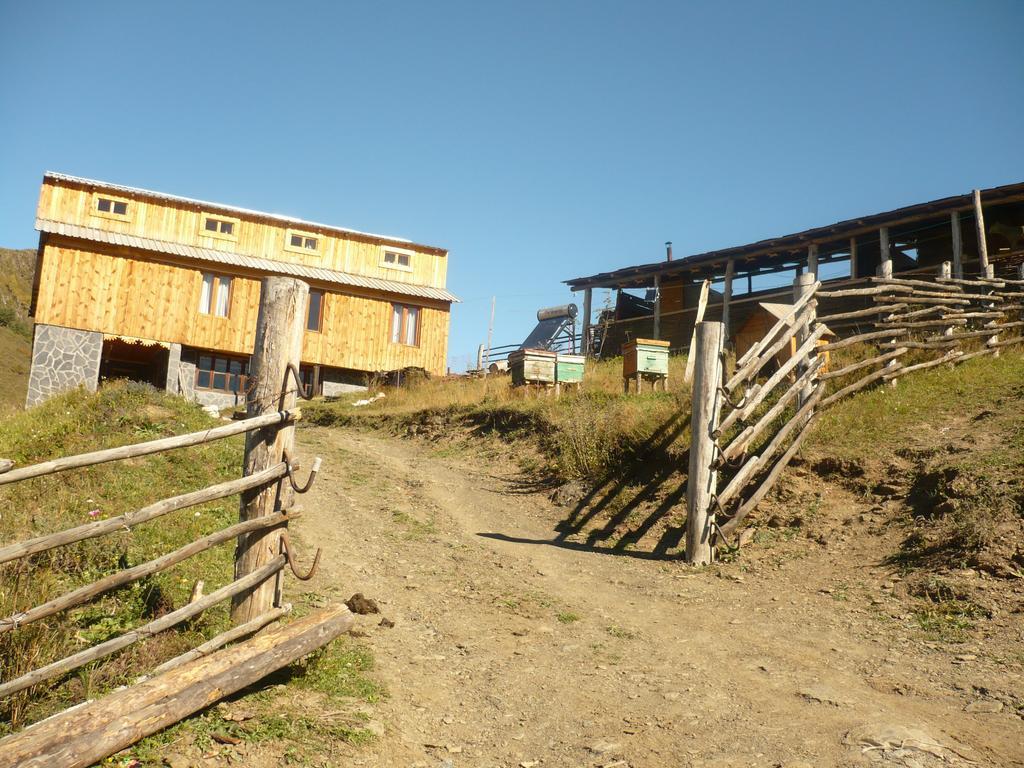 Guesthouse Javakhe Omalo Exteriör bild