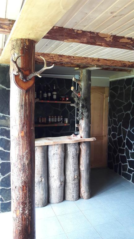 Guesthouse Javakhe Omalo Exteriör bild